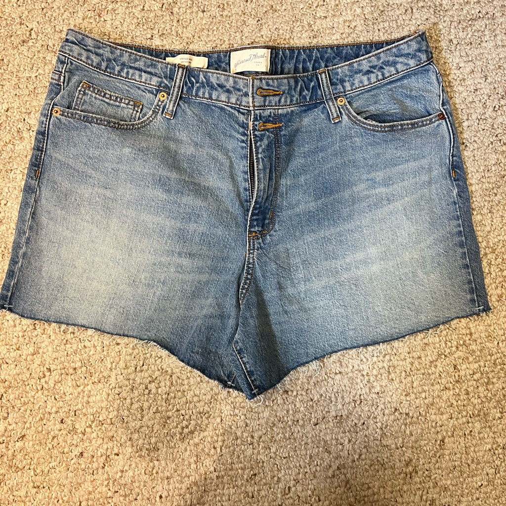 Women’s Universal Thread Blue Denim Shorts Size 16